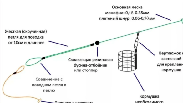 Без названия (2)