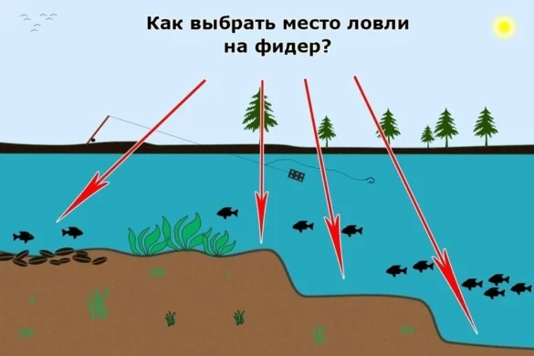 Без названия (3)