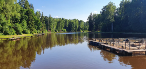 загруженное (3)