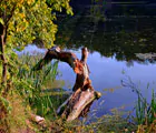 bereg_poplavok_2s